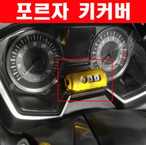 포르자300 FORZA300 스마트키커버 P6326