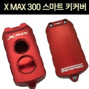 X-MAX300 엑스맥스300 스마트 키커버 P6767
