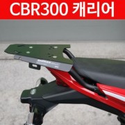 CBR300 캐리어 P5773