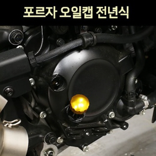 포르자300 FORZA300 오일캡 P7532